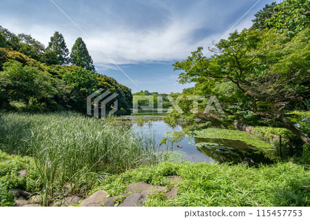 Kanagawa Prefectural Mitsuike Park in Tsurumi Ward, Yokohama City 115457753
