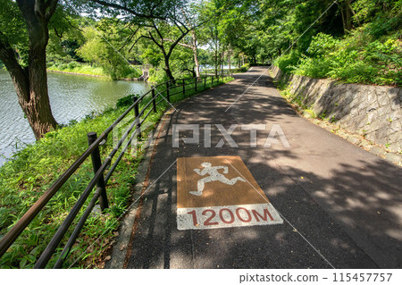 橫濱市鶴見區神奈川縣立三池公園 橫濱市鶴見區神奈川縣立三池公園 115457757
