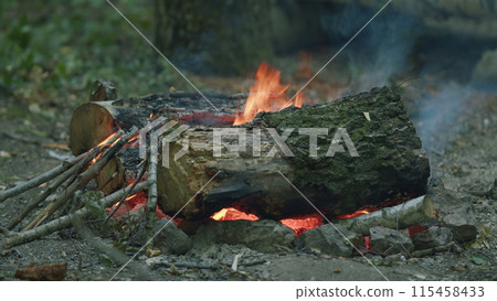 Prepared campfire site. Forest bonfire. Fireplace with stones. Slow motion. 115458433