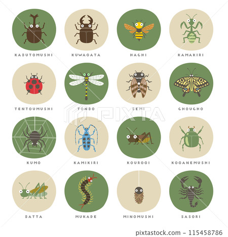 各種昆蟲 各種昆蟲 115458786