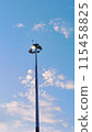 The stand lamp in the morning 115458825