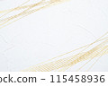 Golden curves, background is a moving white painted wall (abstract) 115458936