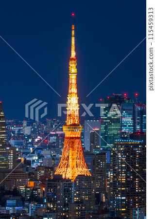 從惠比壽花園廣場東京鐵塔看到的東京夜景 從惠比壽花園廣場東京鐵塔看到的東京夜景 115459313