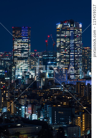 Tokyo night view: View from Ebisu Garden Place, Roppongi Hills 115459317