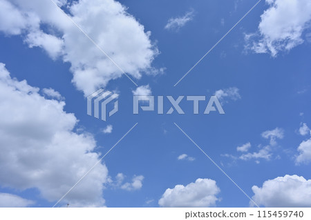 夏天的天空晴朗、陽光明媚 115459740