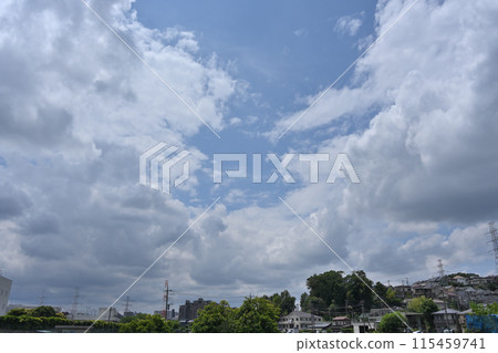 夏天的天空晴朗、陽光明媚 115459741