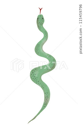 Green snake watercolor 115459796