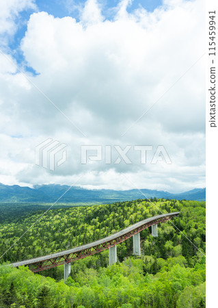 北海道的壯麗景色：綠意盎然的三國峠 115459941