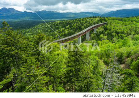 Spectacular view of Hokkaido: Fresh greenery at Mikuni Pass Spectacular view of Hokkaido: Fresh greenery at Mikuni Pass 115459942