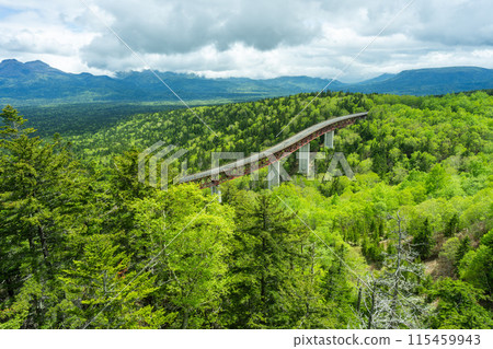 Spectacular view of Hokkaido: Fresh greenery at Mikuni Pass Spectacular view of Hokkaido: Fresh greenery at Mikuni Pass 115459943