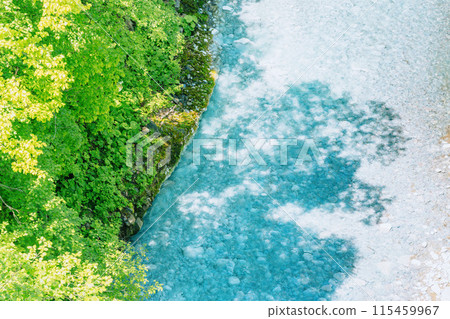 北海道的絕美風光：初夏的美瑛川 115459967