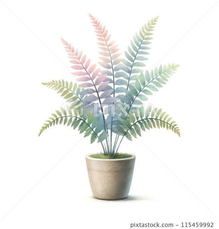 Foliage plant  115459992