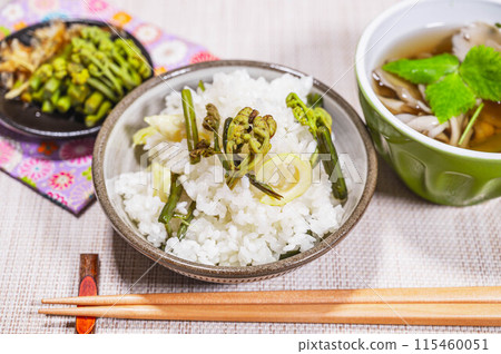 Wild vegetable owl 115460051