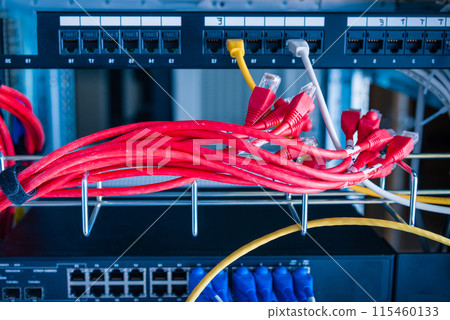 red patch cables connected to ethernet ports of the switch 115460133
