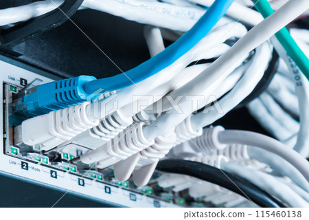 various ethernet cables plugged in network switch various ethernet cables plugged in network switch 115460138