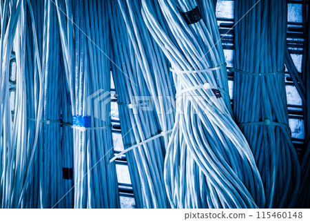 detail of large number of ethernet cables tied together connecting racks inside server room 115460148