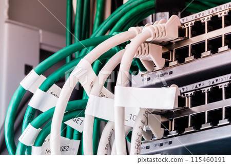 colorful patch cables connected to switch - high speed internet concept colorful patch cables connected to switch - high speed internet concept 115460191