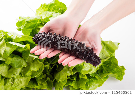 干海参与泡发好的海参 115460561