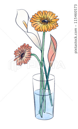 非洲菊和彩色花圖 115460573