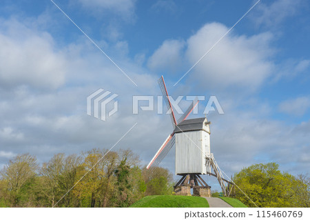 Belgium, Bruges, windmill, Bonne-Chière mill 115460769