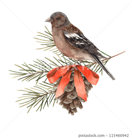 Fir branches with a pine cone, a red bow and a bird. Watercolor botanical illustration on isolated background. Drawings for Christmas and New Year holidays, invitations, cards, wrapping paper 115460942