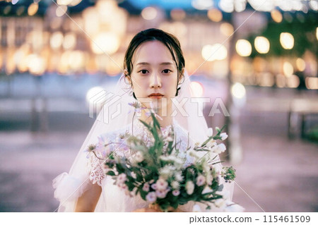 東京車站和新娘在晚上 東京車站和新娘在晚上 115461509