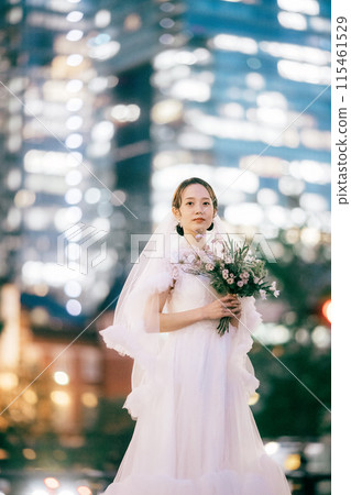 Tokyo Station at night and the bride Tokyo Station at night and the bride 115461529