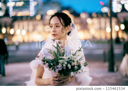 東京車站和新娘在晚上 東京車站和新娘在晚上 115461534