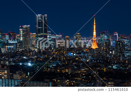 Tokyo night view: View from Ebisu Garden Place towards Tokyo Tower 115461810