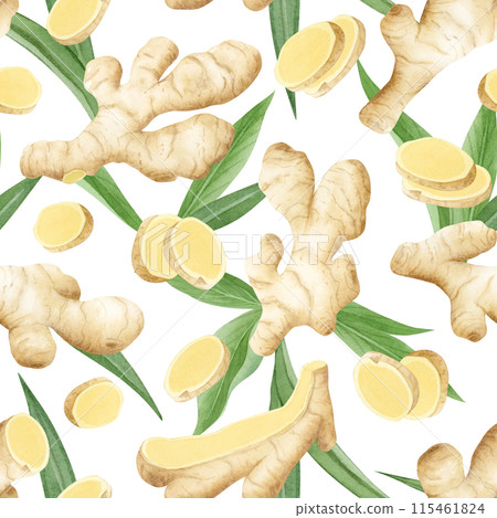 Beige ginger roots, slices and leaves watercolor seamless pattern on white. Hand drawn background with horseradish for kitchen textile, organic spicy food packaging, vegan menu or herbal tea 115461824