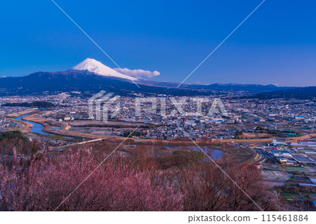 (Shizuoka Prefecture) Mishima cityscape and Mt. Fuji at dawn 115461884