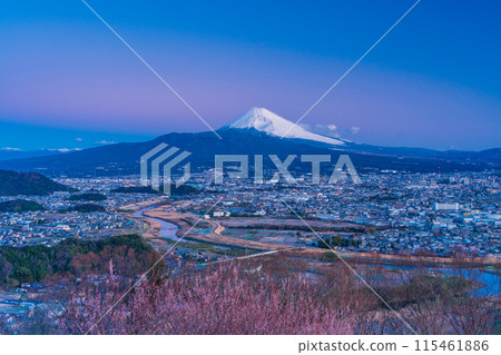 (靜岡縣)三島市景和黎明時的富士山 (靜岡縣)三島市景和黎明時的富士山 115461886