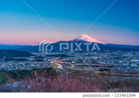 (Shizuoka Prefecture) Mishima cityscape and Mt. Fuji at dawn (Shizuoka Prefecture) Mishima cityscape and Mt. Fuji at dawn 115461894