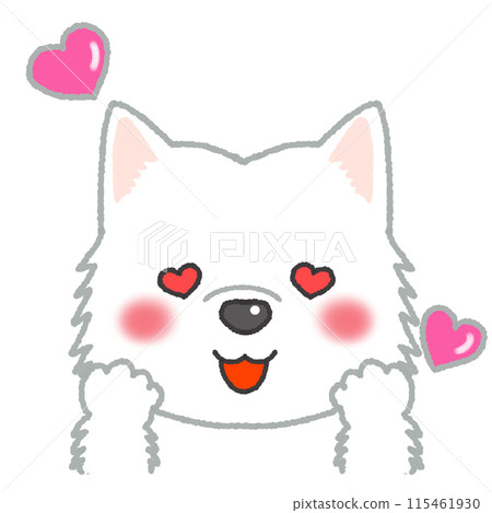 Samoyed with a dreamy expression 115461930