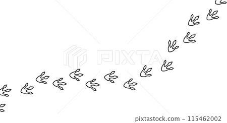 Dinosaur footprints. Hand drawn contoured linear dragon footprints. Vector sketch illustration on white background 115462002
