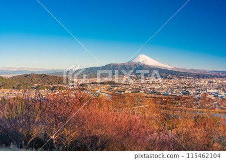 (Shizuoka Prefecture) Mishima cityscape and Mt. Fuji from Himoriyama with the morning sun shining through 115462104