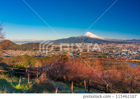 (Shizuoka Prefecture) Mishima cityscape and Mt. Fuji from Himoriyama with the morning sun shining through (Shizuoka Prefecture) Mishima cityscape and Mt. Fuji from Himoriyama with the morning sun shining through 115462107
