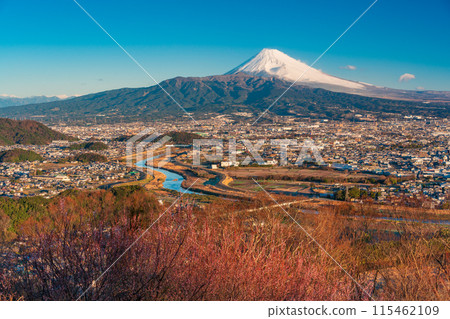 (Shizuoka Prefecture) Mishima cityscape and Mt. Fuji from Himoriyama with the morning sun shining through (Shizuoka Prefecture) Mishima cityscape and Mt. Fuji from Himoriyama with the morning sun shining through 115462109
