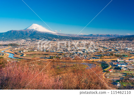 (Shizuoka Prefecture) Mishima cityscape and Mt. Fuji from Himoriyama with the morning sun shining through (Shizuoka Prefecture) Mishima cityscape and Mt. Fuji from Himoriyama with the morning sun shining through 115462110