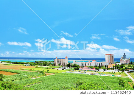 沖繩宮古島夏季藍天和度假村風光 115462440