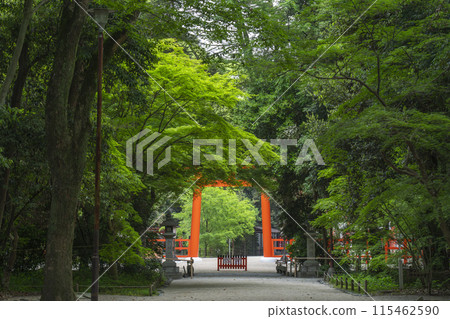 Kyoto Shimogamo Shrine Tadasu no Mori ~ Second Torii ~ Tower Gate 115462590