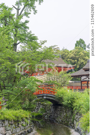 Early summer in Kyoto: Shimogamo Shrine, a bridge surrounded by fresh greenery 115462609