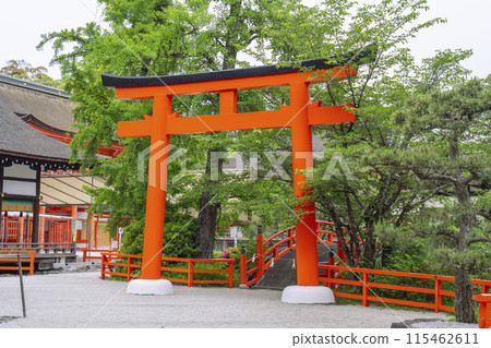 Early summer in Kyoto: Shimogamo Shrine, a bridge surrounded by fresh greenery 115462611