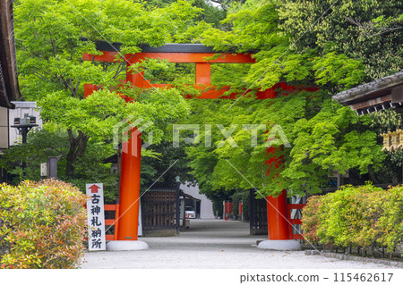 Kyoto in early summer: Shimogamo Shrine, West Torii 115462617