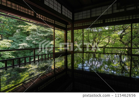 Kyoto Yase Ohara Rurikoin Temple Green Maple Leaves 115462656