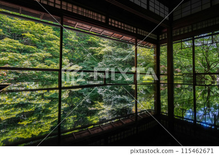 京都八瀨大原、琉璃光院、藍楓 115462671