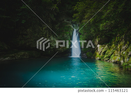 美麗的仁澱藍仁科淵。高知縣阿川郡伊野町 美麗的仁澱藍仁科淵。高知縣阿川郡伊野町 115463121