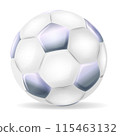 Soccer ball realistic 3d design style. Mockup of sports elements isolated on white background. Sport layout design. Vector illustration EPS10 115463132