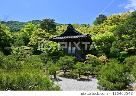Okochi Sanso, Arashiyama Okochi Sanso, Arashiyama 115463548