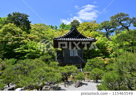 Okochi Sanso, Arashiyama 115463549